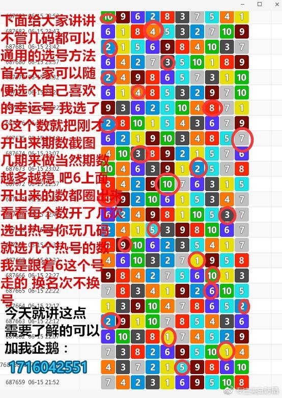 关于赛马会(7码中特)的信息