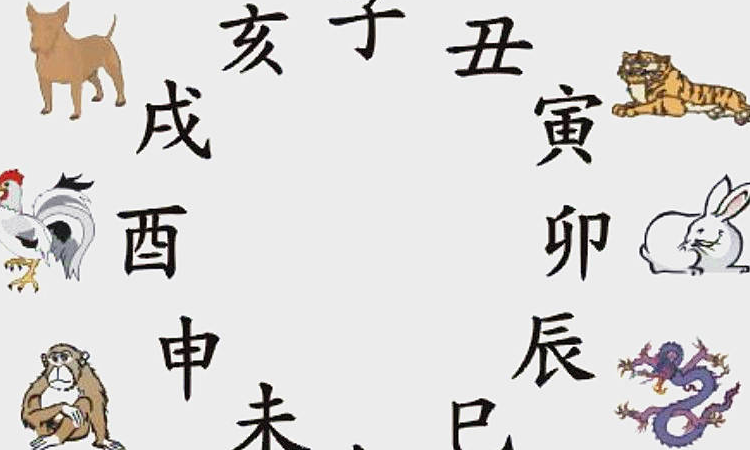 码中特七七七猜一肖(一四七码今期是什么生肖)