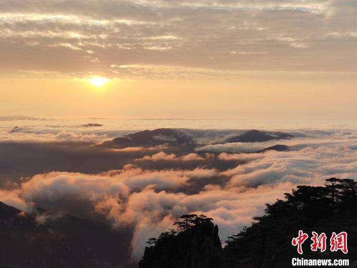 包含画面风景28码中特的词条