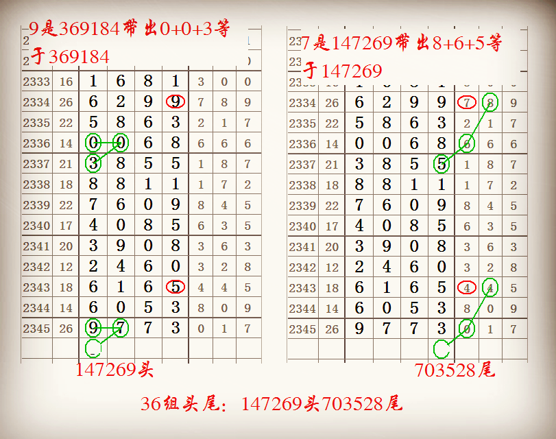 搜码网单双中特(精选单双中特的数字)