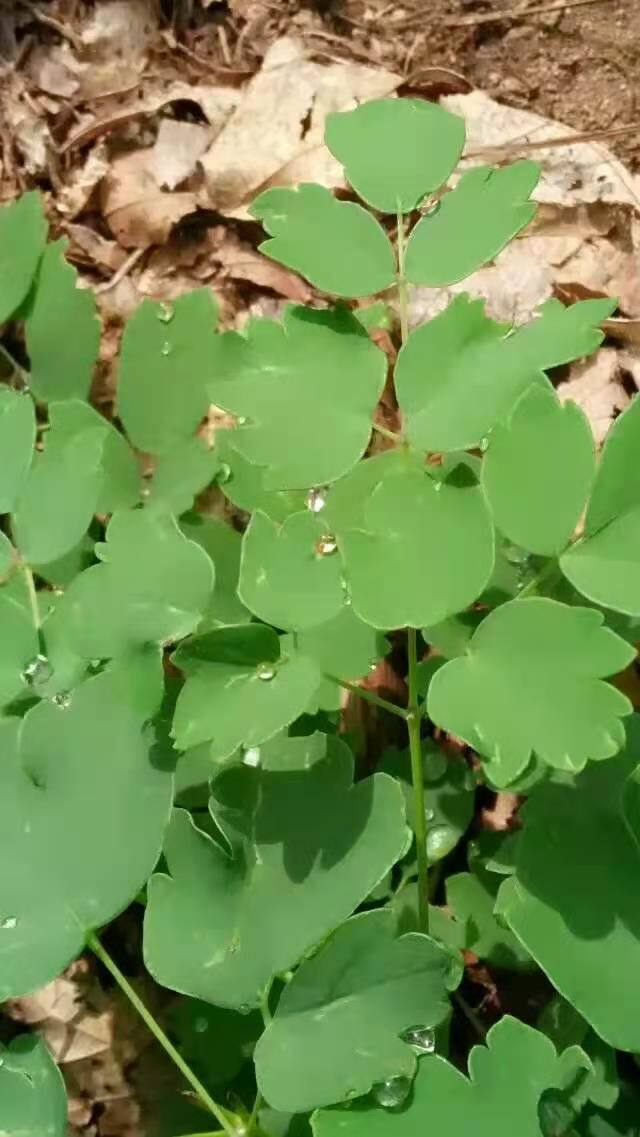 生性闹腾中特二码的简单介绍