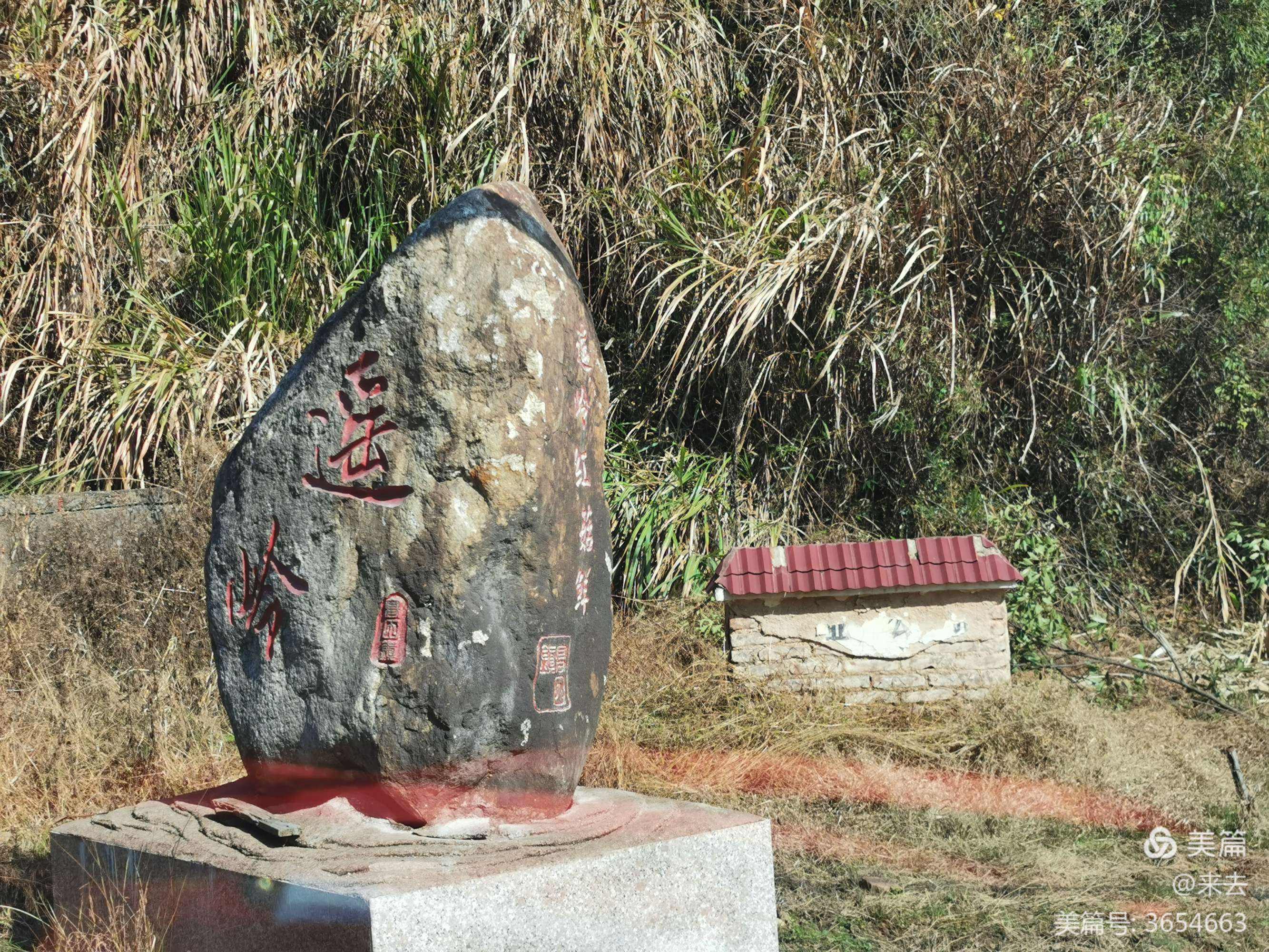 峰回路转三码中特(峰回路转三肖中特037)