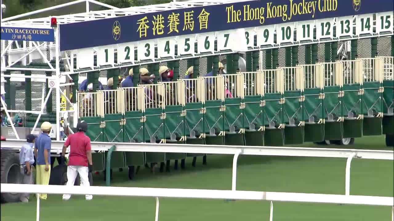 香港赛马十二码中特(看香港今期抓码王特马资料)