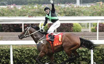 香港赛马十二码中特(看香港今期抓码王特马资料)