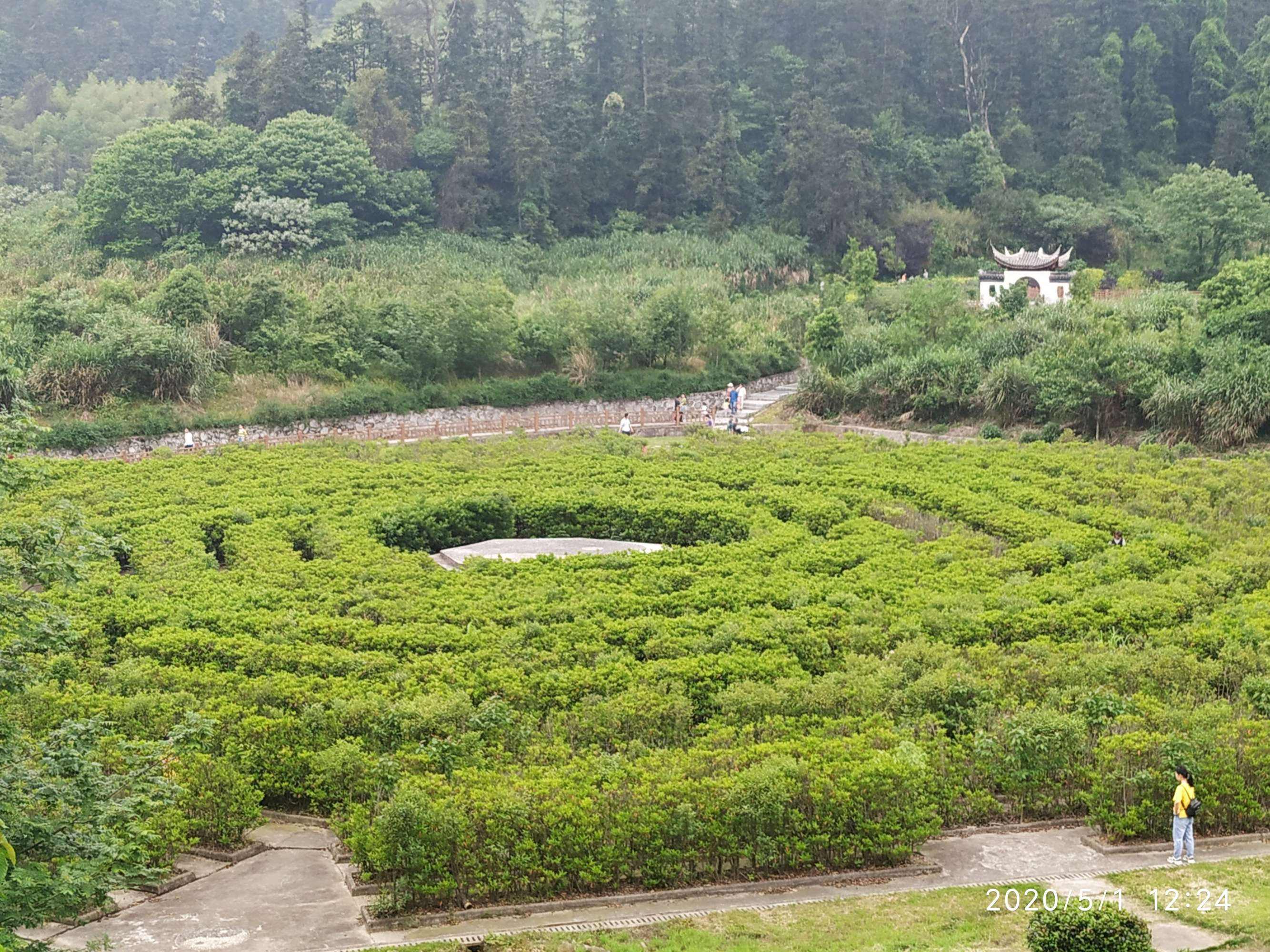 岐黄之巅十三码中特(十三码中特期期准网站)