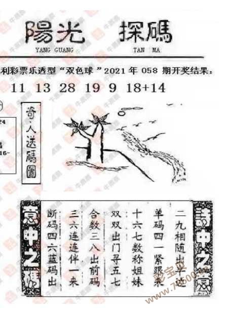 18855管家婆五码中特(188555管家婆平特五码)