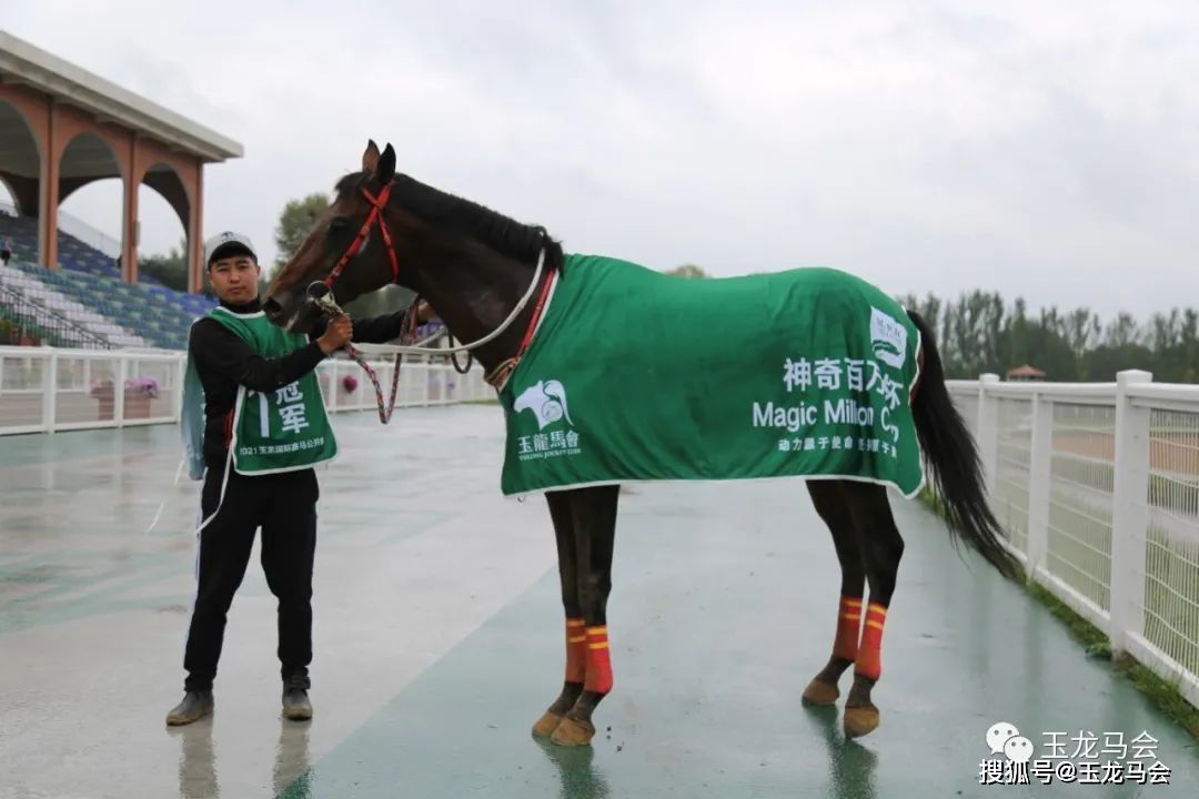 马王精英五码中特(王中王精选五码中特开奖)