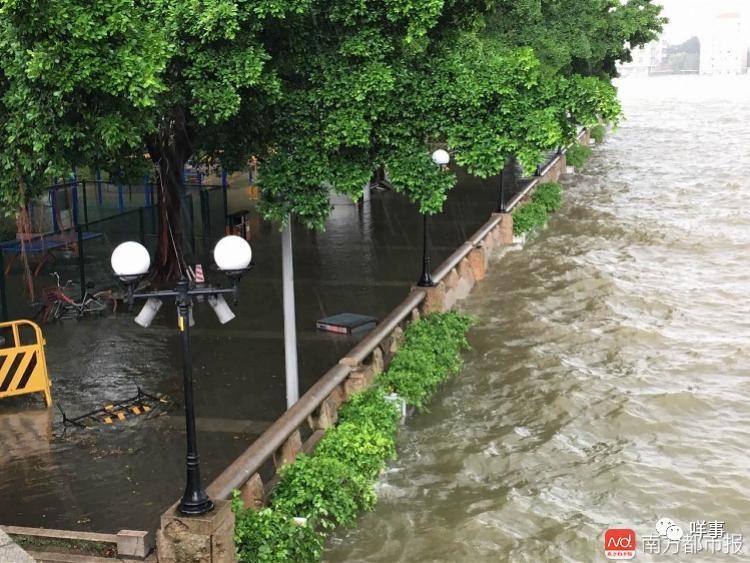 江水不断四码中特(三码中特香港三码资料杳一)