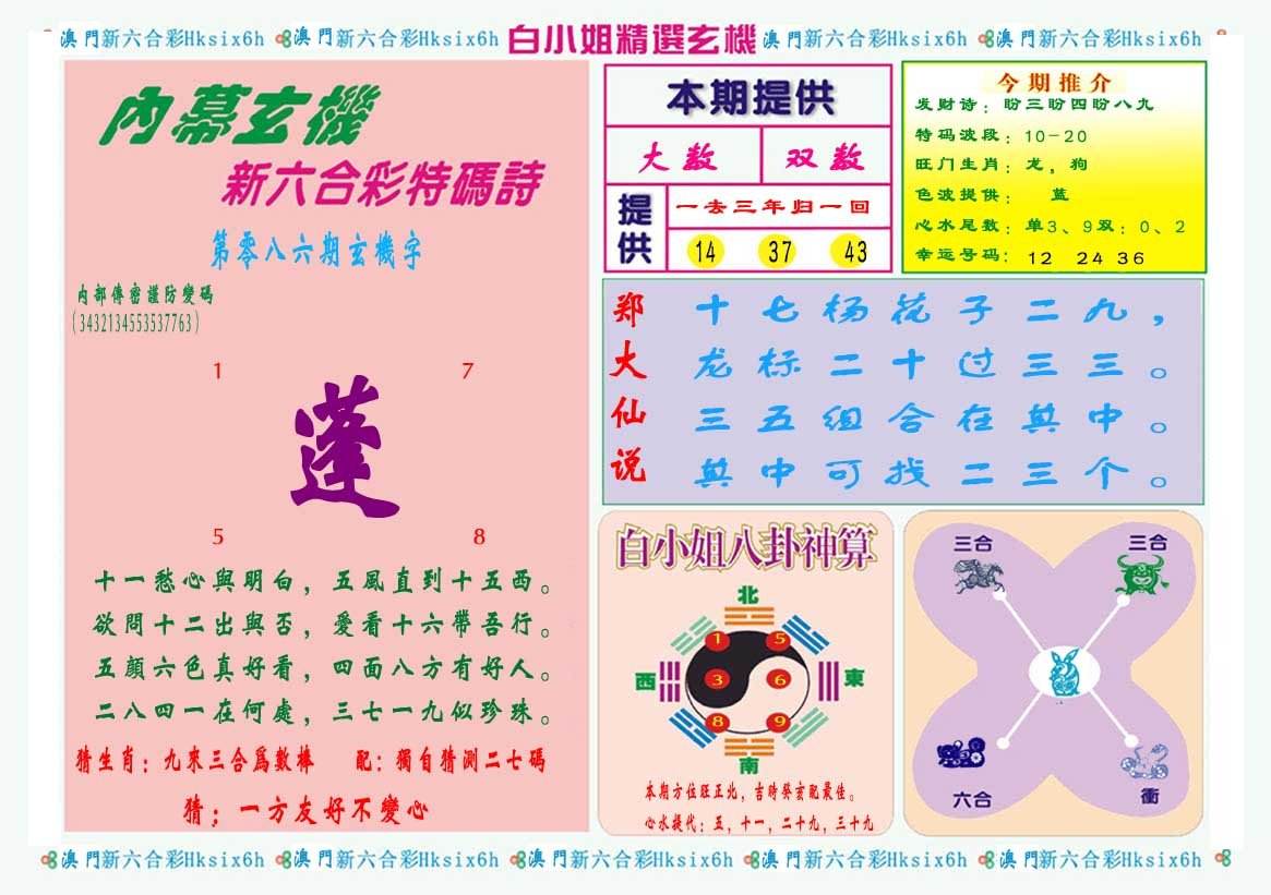 内部18码中特资料(24码中特,2017)