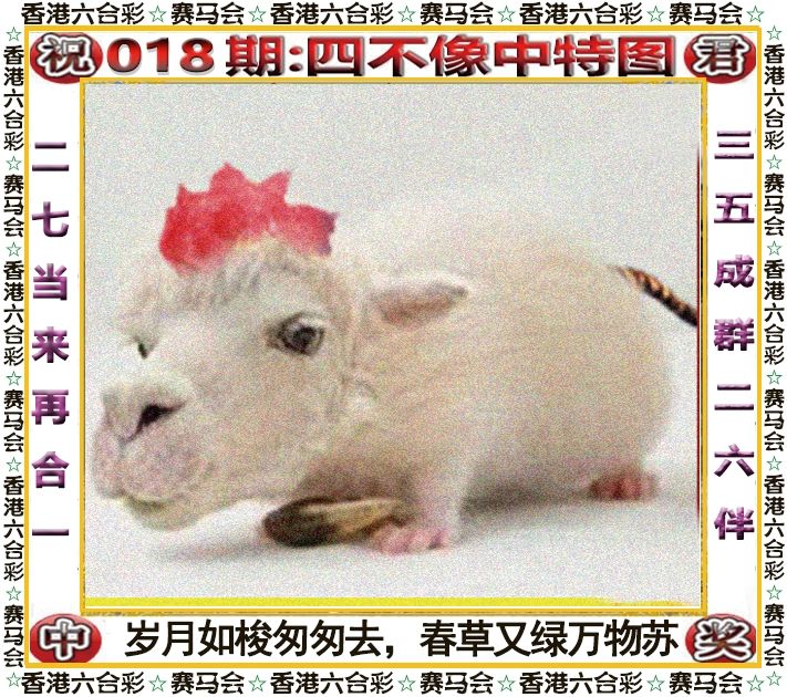 103期三肖三码中特(最准资料精选三码中特139期)