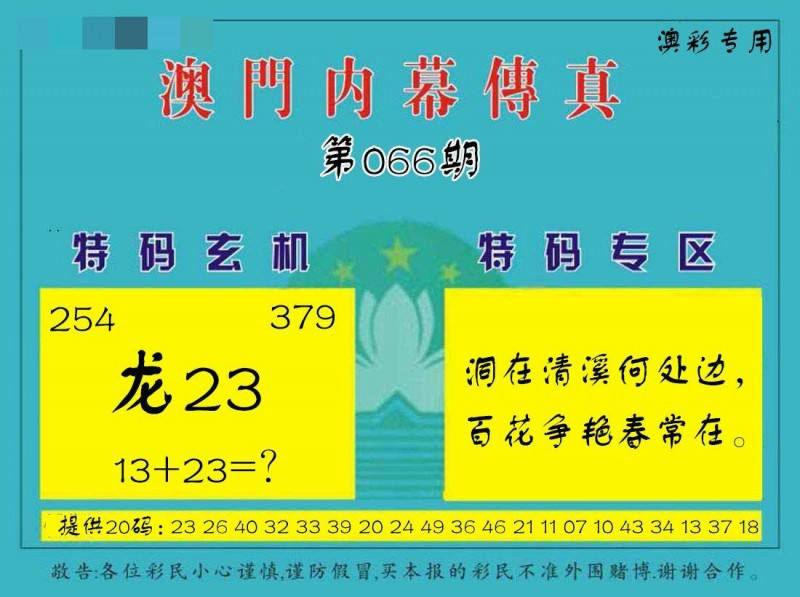 27码中特王(王中王精选五码中特192168)