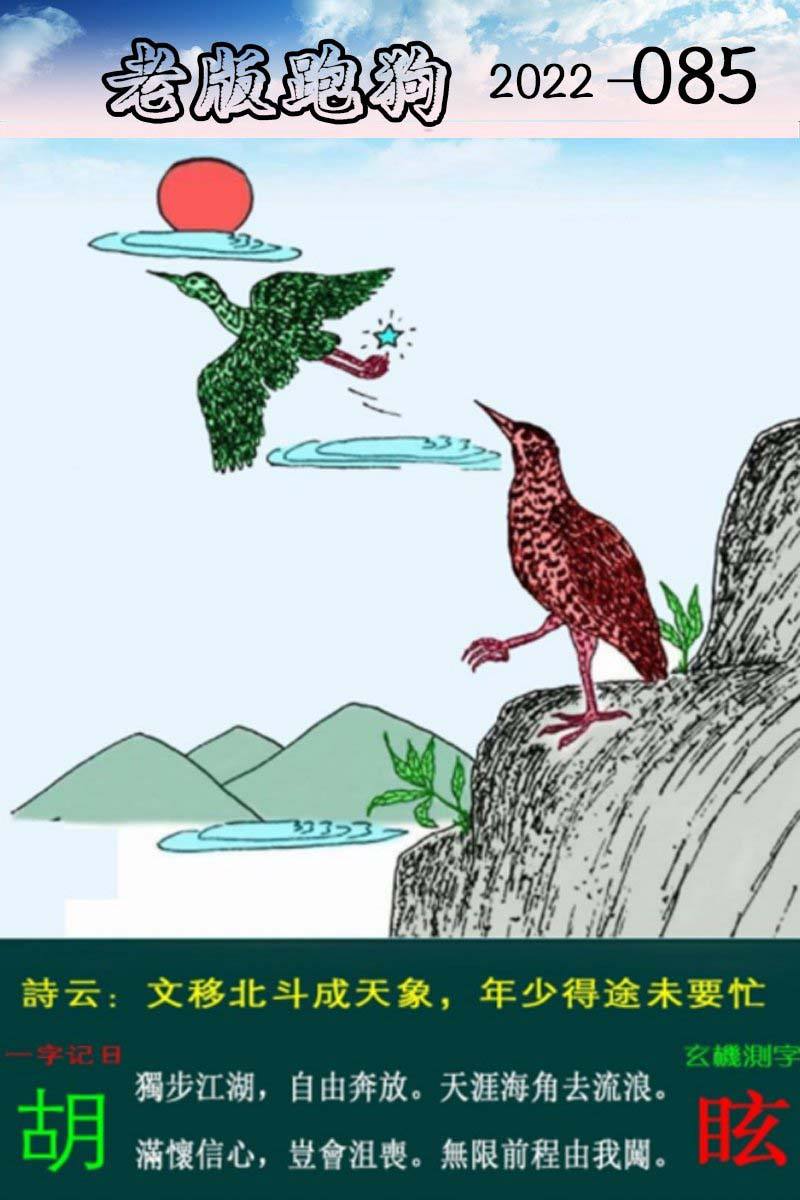 30码中特规律(188555+三码中特)