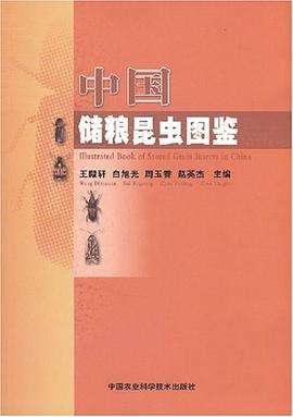 关于断肠人在刷牙8码中特的信息