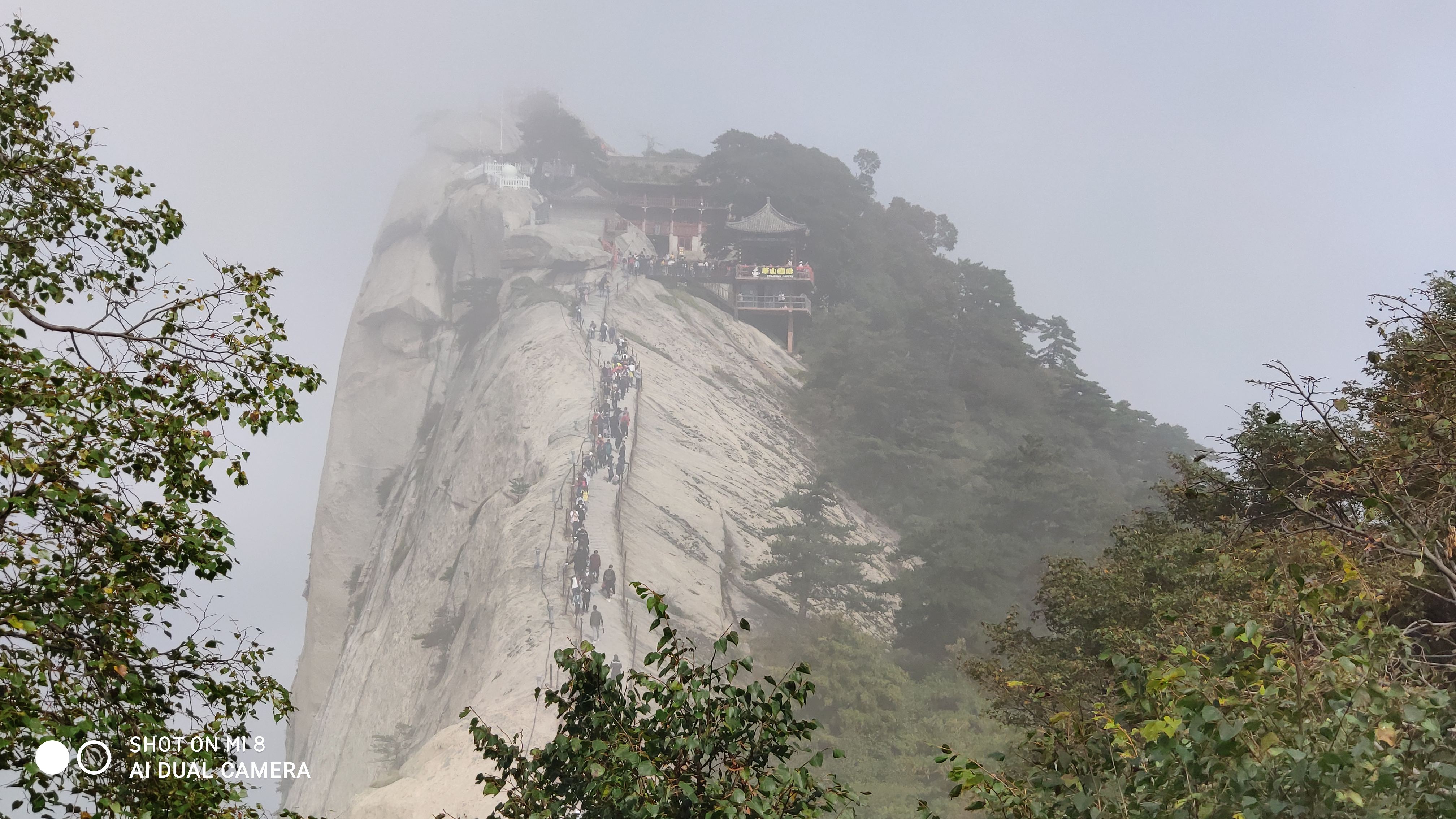 华山论剑五码中特(华山论剑五码中特资料网站)