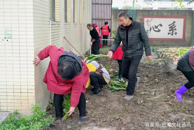 笑看苍生三码中特的简单介绍