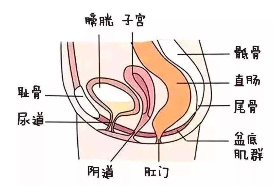 十码中特诗(必中十码十马中特)