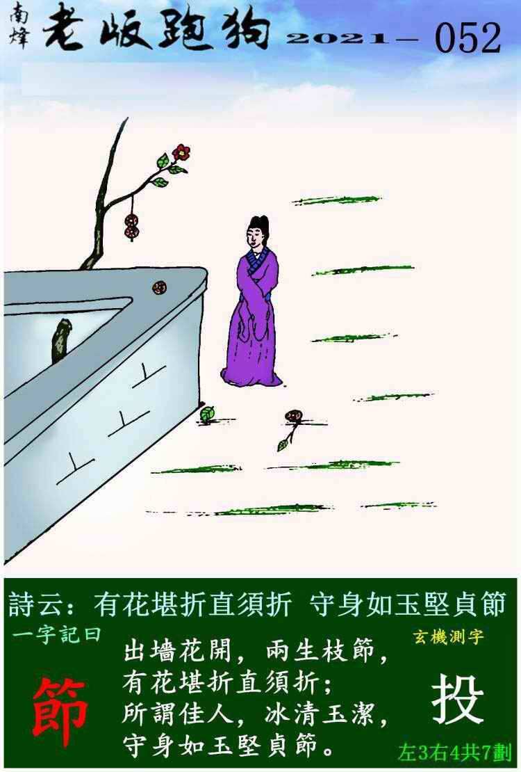 一肖三码中特图视频(本期一肖一码大中特图)