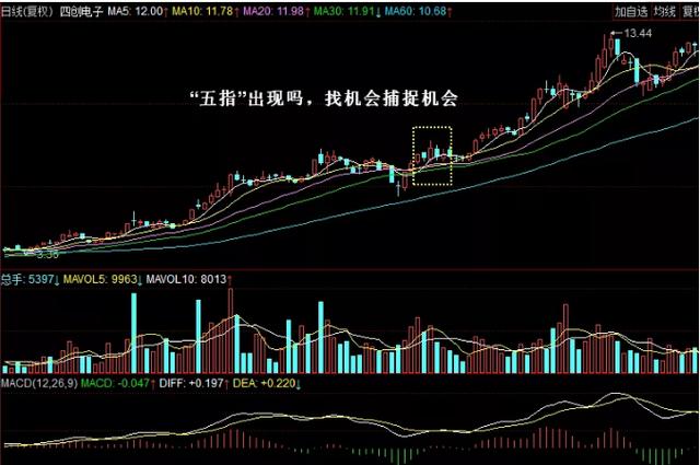 关于一波主八码中特的信息