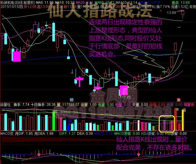 仙人指路经典三码中特图(2492仙人指路3码中特)