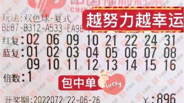 79期30码期期必中特(30码期期必中特149期)