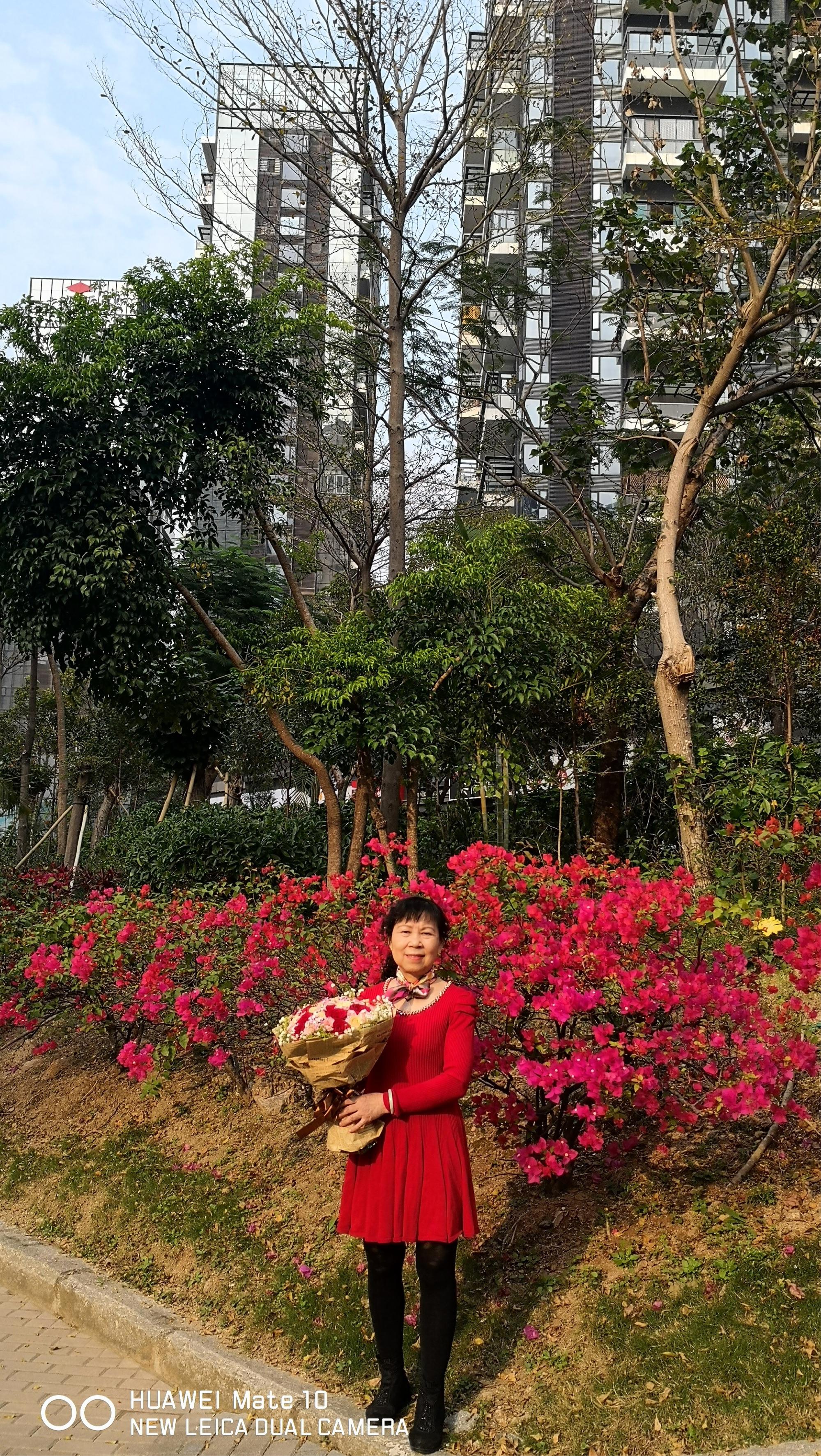 连花双宝五码中特(三码中特134588)