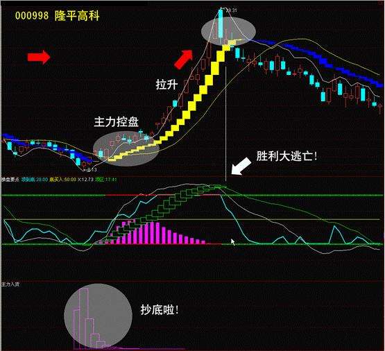 横扫庄家一肖码中特(中特网一肖二码期期爆庄)