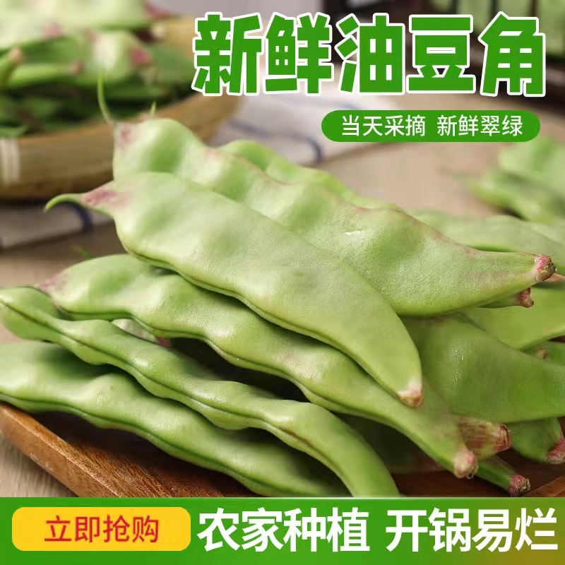 一点红四码中特(一点红中特资料网)