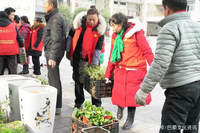 关于笑看苍生三码中特的信息