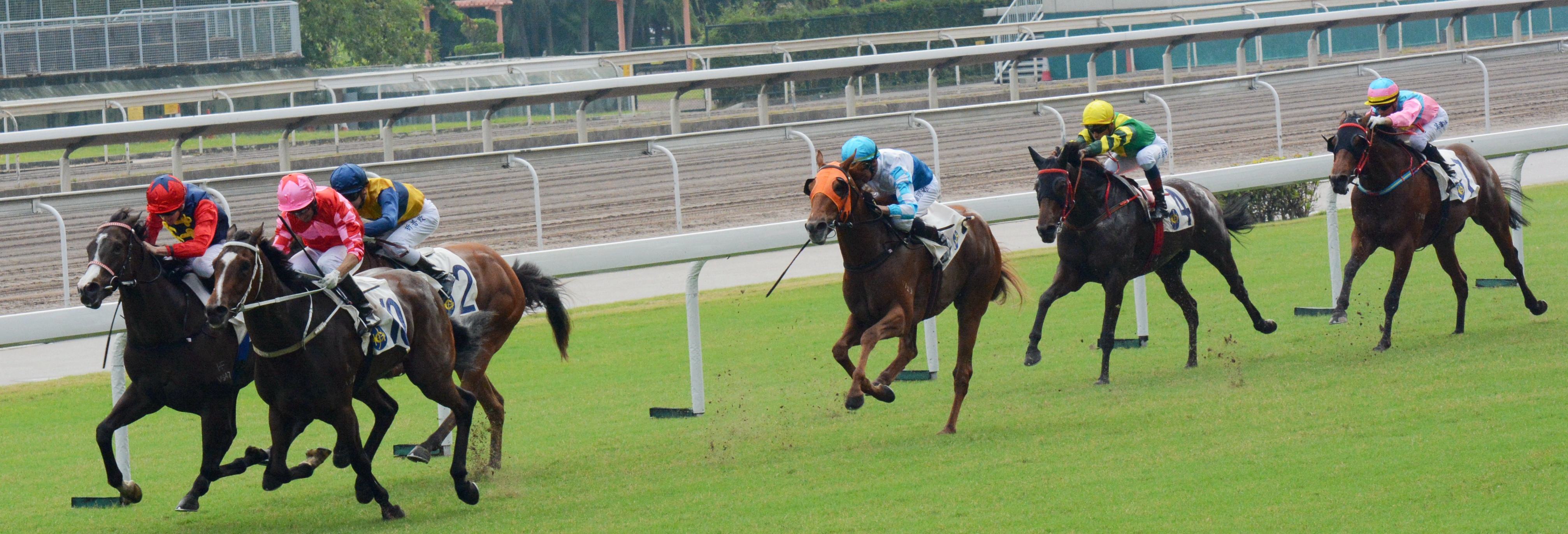 香港赛马十二码中特(香港赛马会资料大全三码中特)