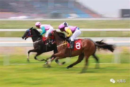 香港赛赛马四肖八码中特(香港赛马会资料六肖必中一肖)