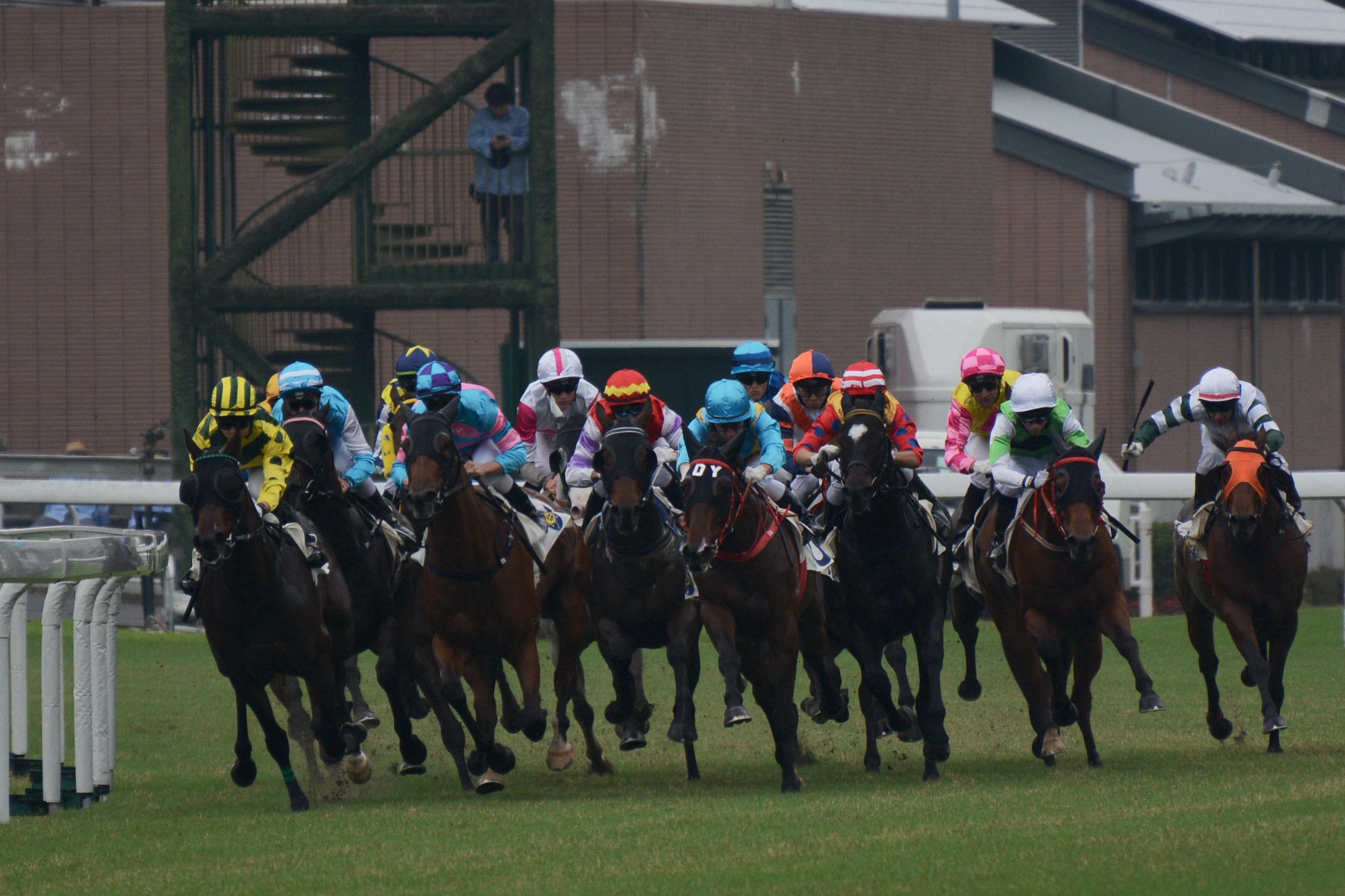 香港赛赛马四肖八码中特(香港赛马会内部三肖六码图)