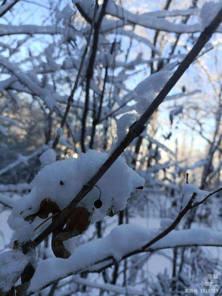 关于玉雪飘飘九码中特的信息