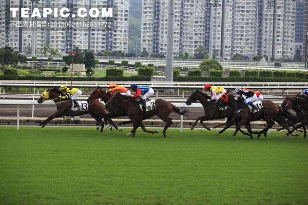 香港赛马(五码中特)(十码中特+香港赛马会公司)