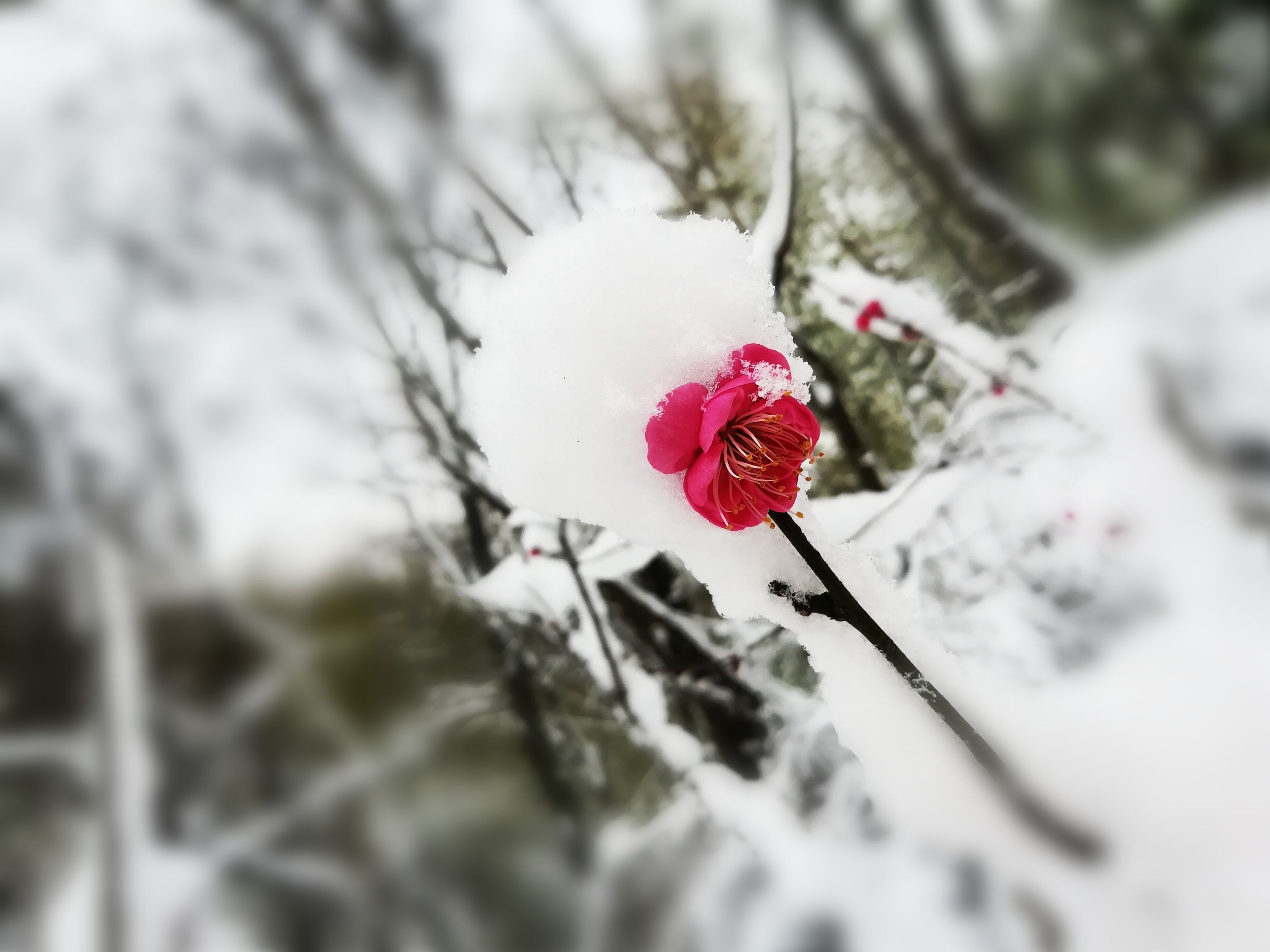 玉雪飘飘9码中特的简单介绍