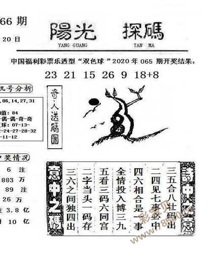 码必中特(码中特免费公开资料)