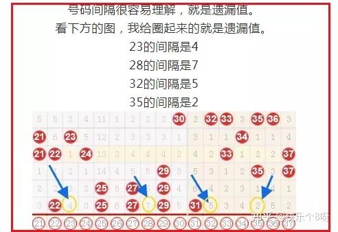 20码期必中特(30码期期必中特官方网站)