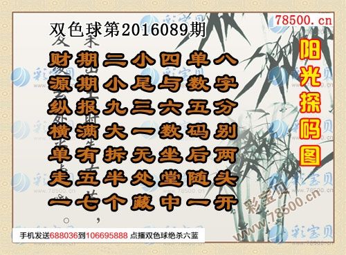 113期5码中特(精选3码中特126期)