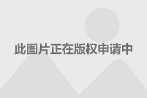 关于黄大仙精选三肖三码必中特肖的信息