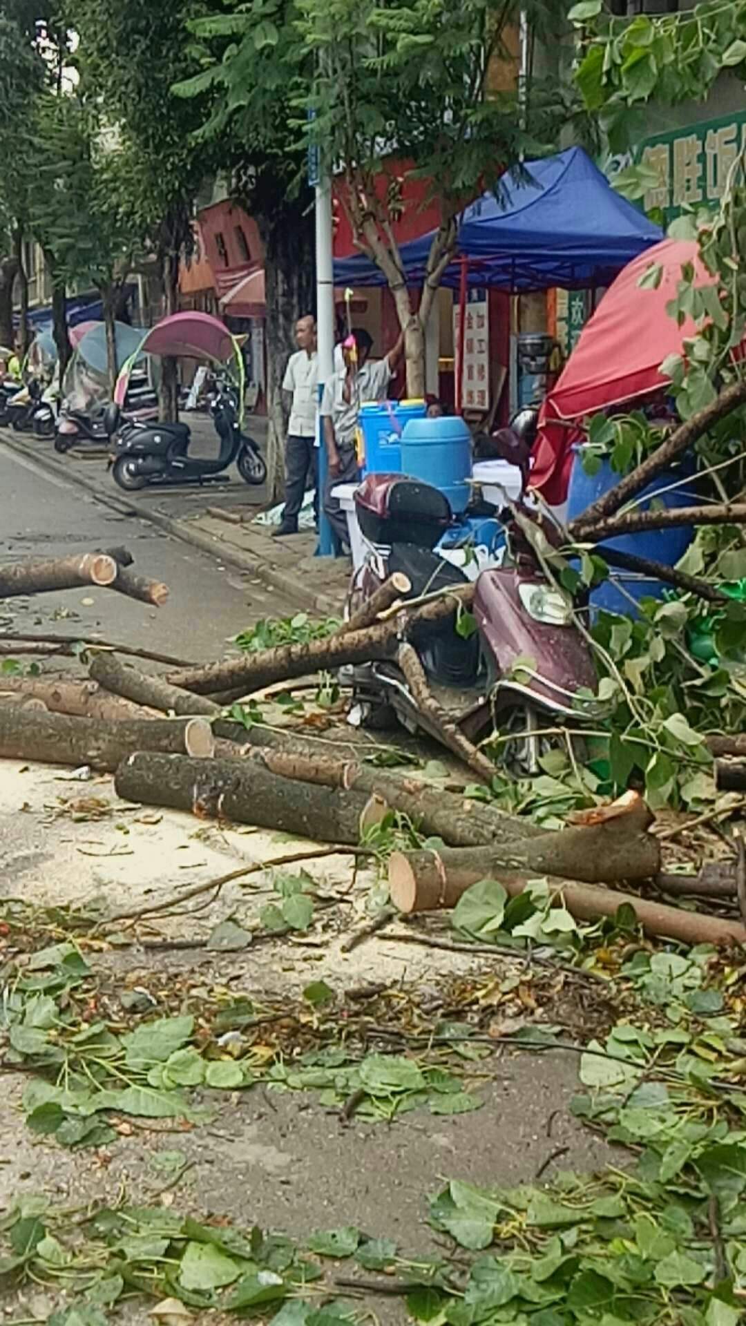 包含狂风暴雨3码中特的词条