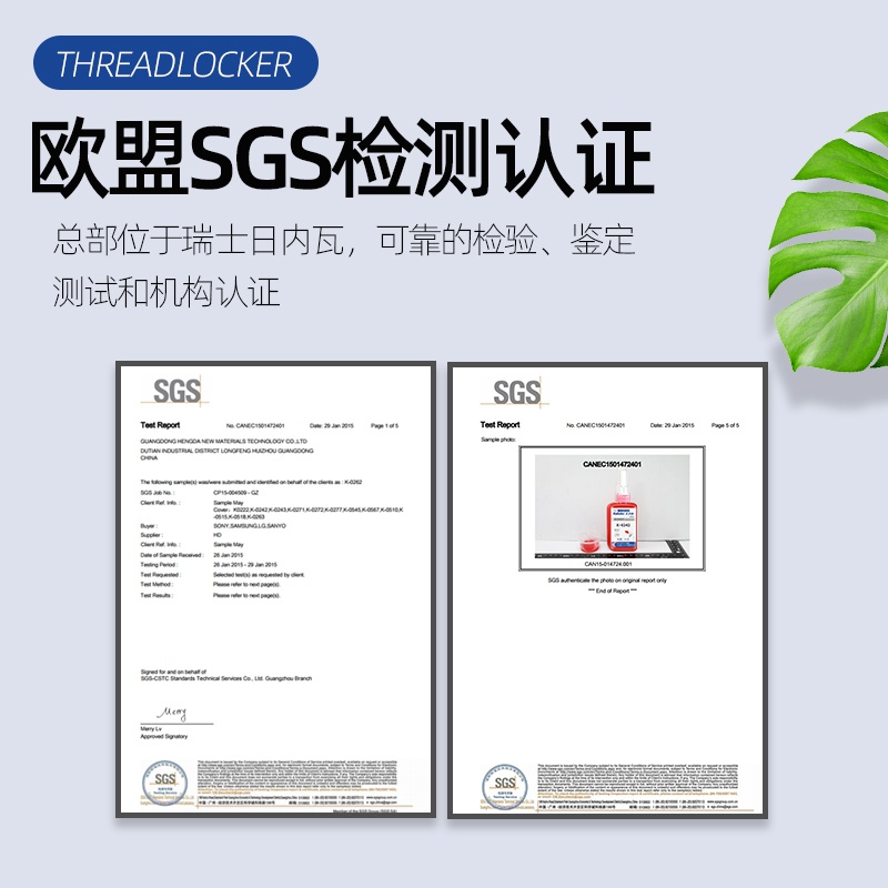 l码中特(码中特马中特)