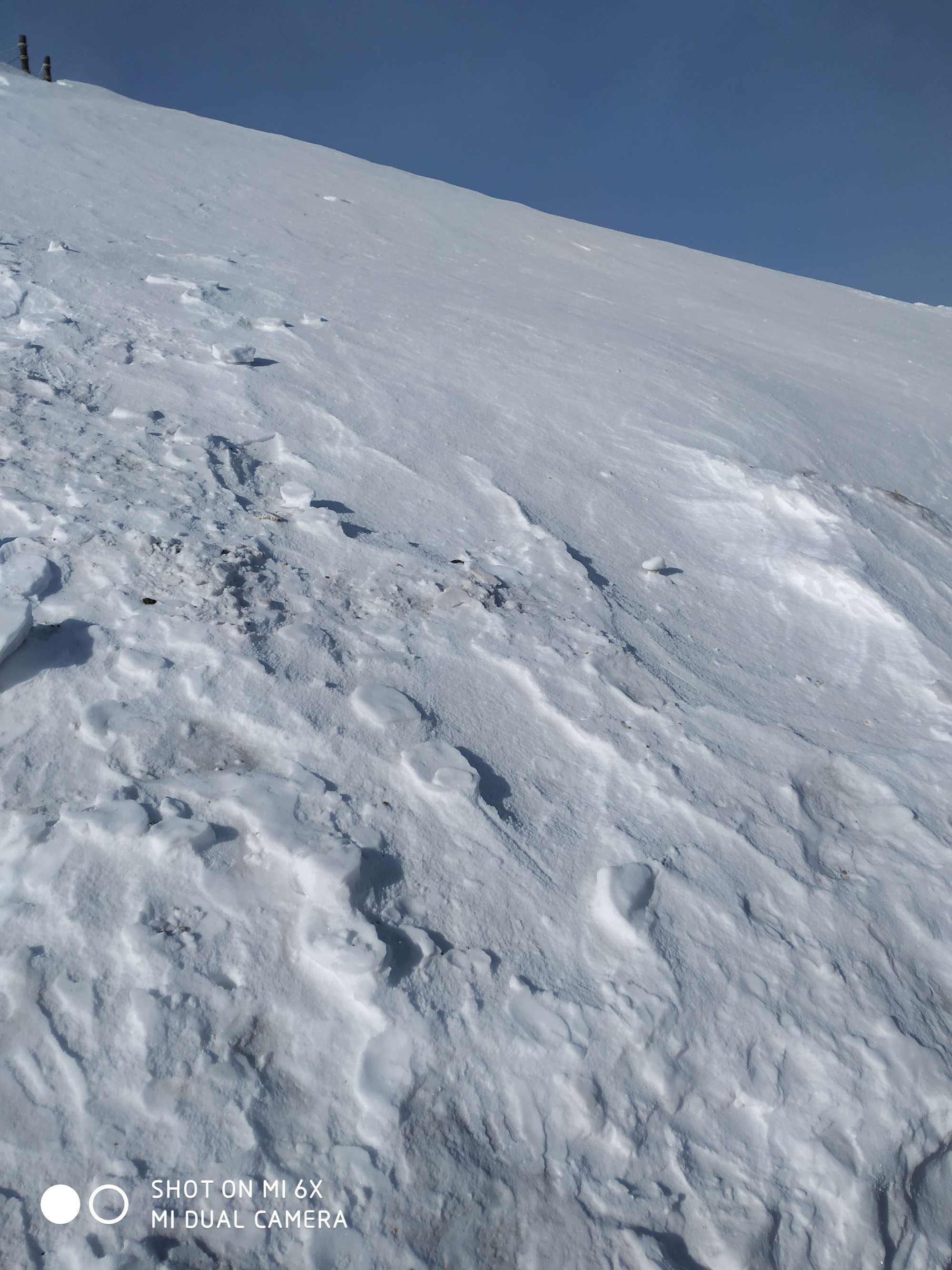 关于万里雪飘二码中特的信息