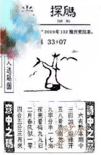 关于二五出码八中特是什么数字的信息