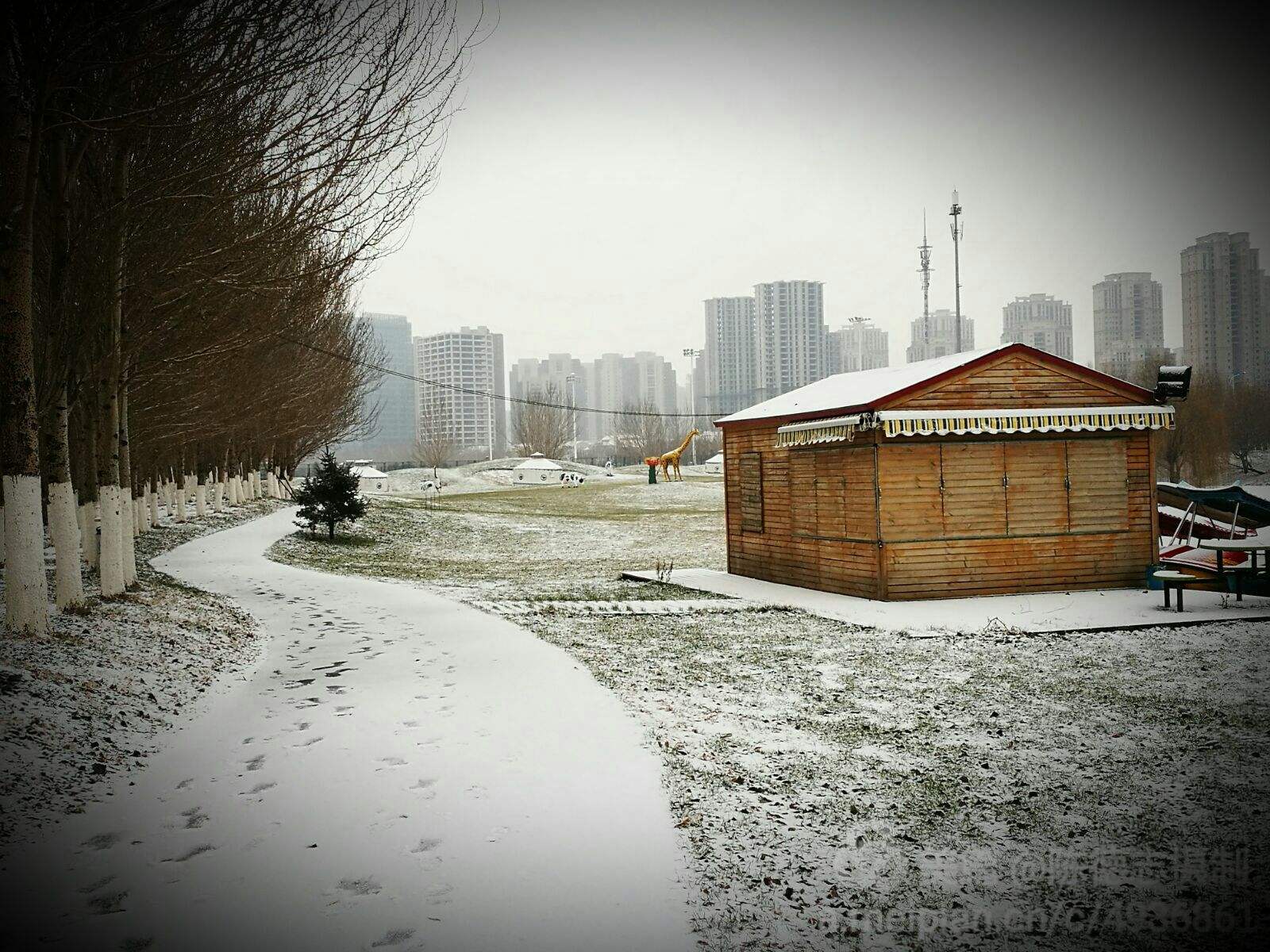 包含万里雪飘二码中特的词条