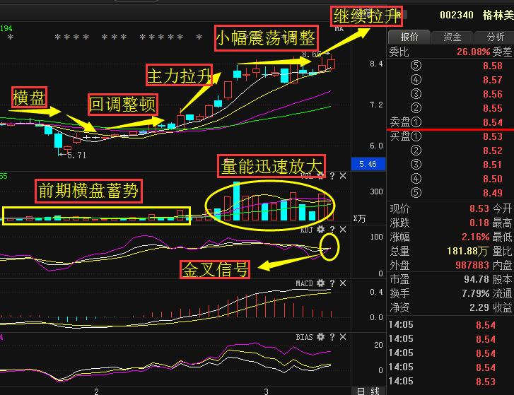 王中王高13码必中特(香港王中王中特24码精闵)