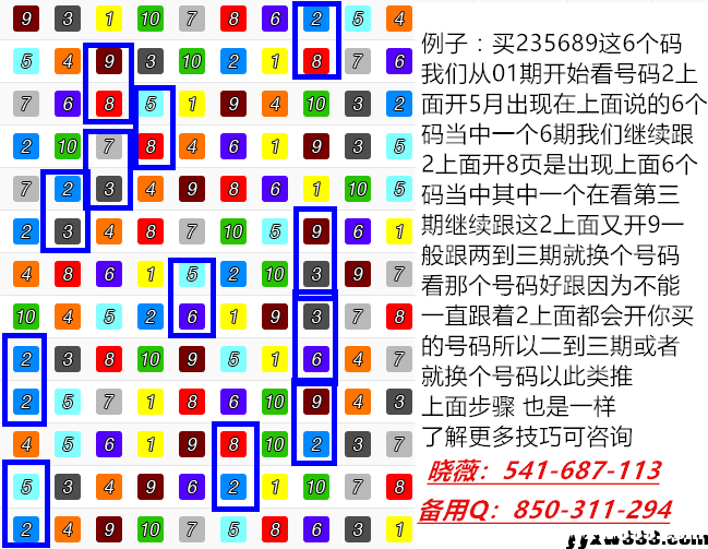 港澳来料八码中特(八码中特免费公开资料)