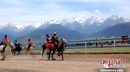 赛马会24码中特(十码中特+香港赛马会公司)