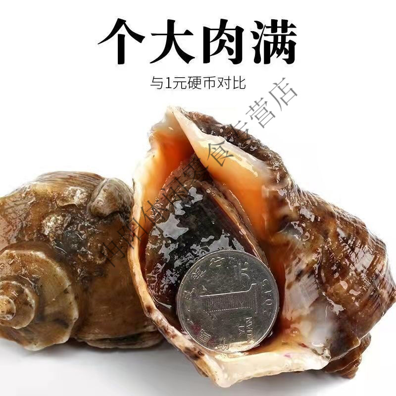 老钱庄二码12码中特(老钱老钱庄高手论坛12码网站)