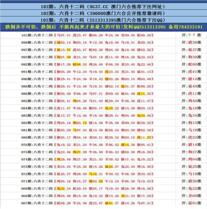 包含六肖十二码中特百度的词条