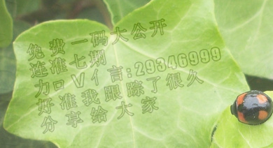 八码中特加vnnm090的简单介绍