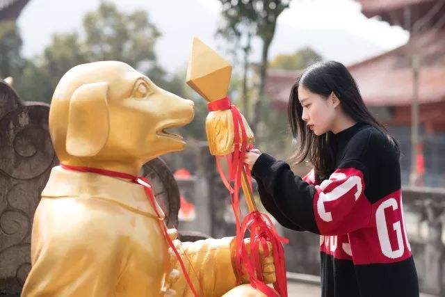 三码中特最好资料(最准资料精选三码中特)